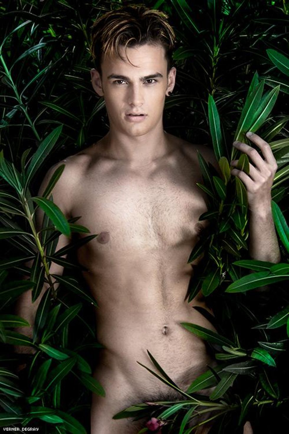 Dylan-by-verner-degray-22bis