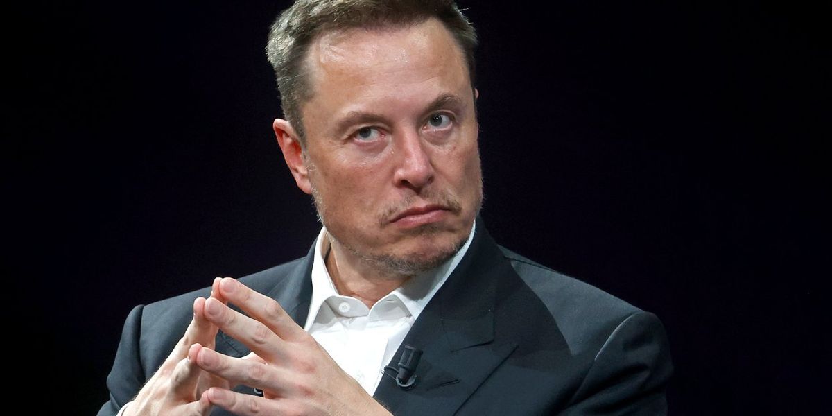 Elon Musk sparring partner 'extremely impressed' by billionaire's