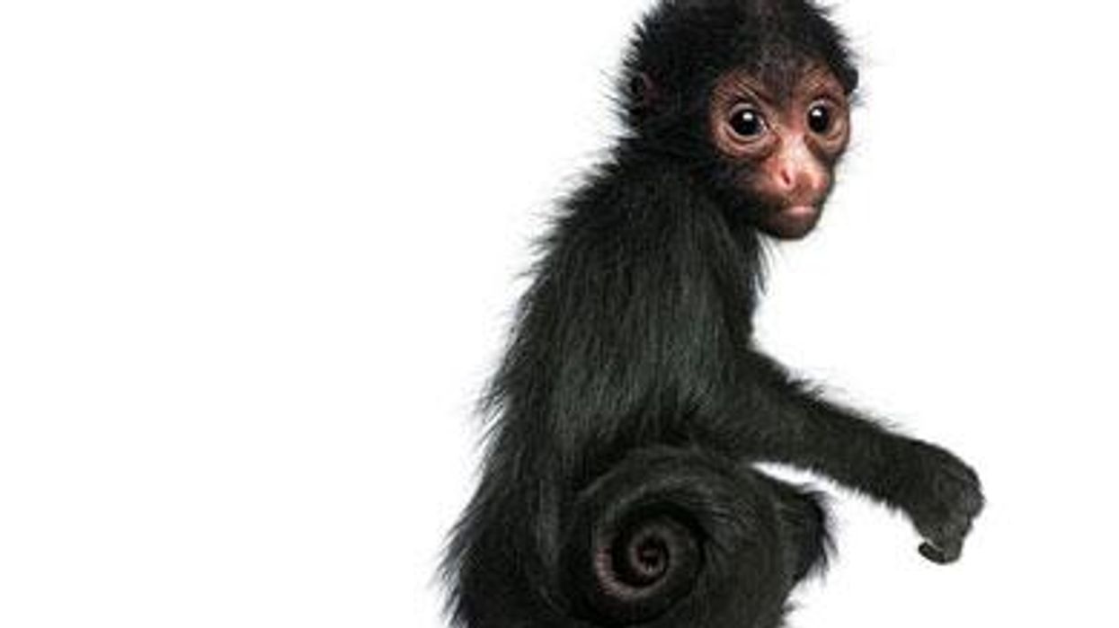 Evolutionrevolutionx390