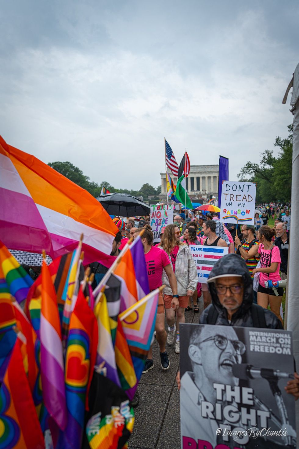 exclusive photo gallery World Pride 2025 Rally and March Washington DC Lincoln memorial to Washington monument around reflecting pool