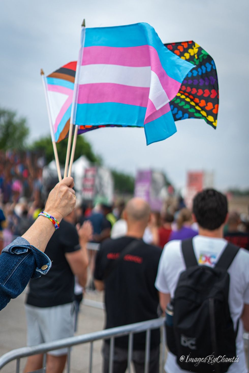 exclusive photo gallery World Pride 2025 Rally and March Washington DC Lincoln memorial to Washington monument around reflecting pool