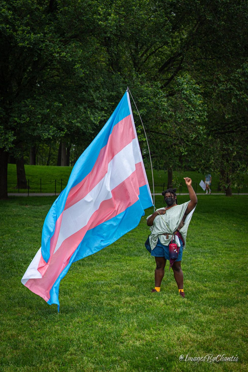 exclusive photo gallery World Pride 2025 Rally and March Washington DC Lincoln memorial to Washington monument around reflecting pool