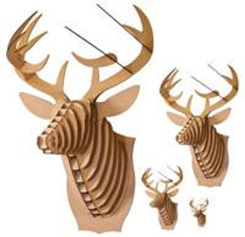 Fdgg_cardboardsafari