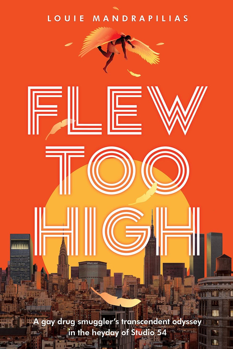 Flew Too High book cover