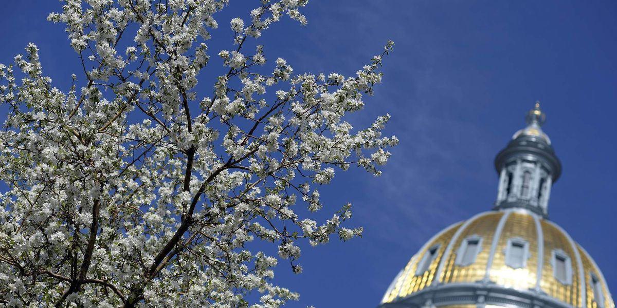 Colorado governor signs law recognizing that trans kids have privacy rights