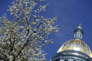 Colorado governor signs law recognizing that trans kids have privacy rights