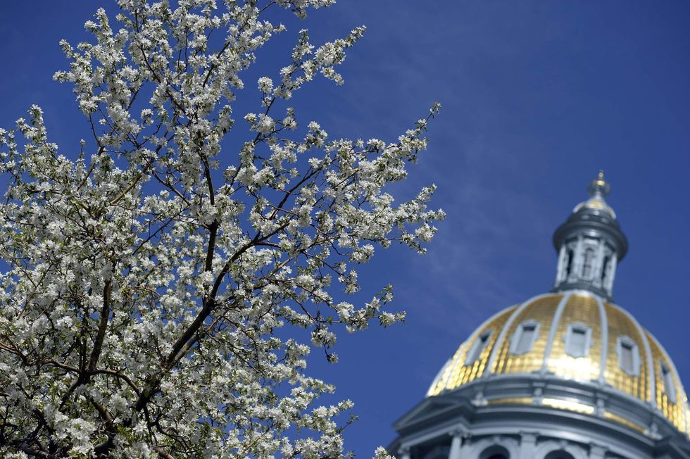 Colorado governor signs law recognizing that trans kids have privacy rights