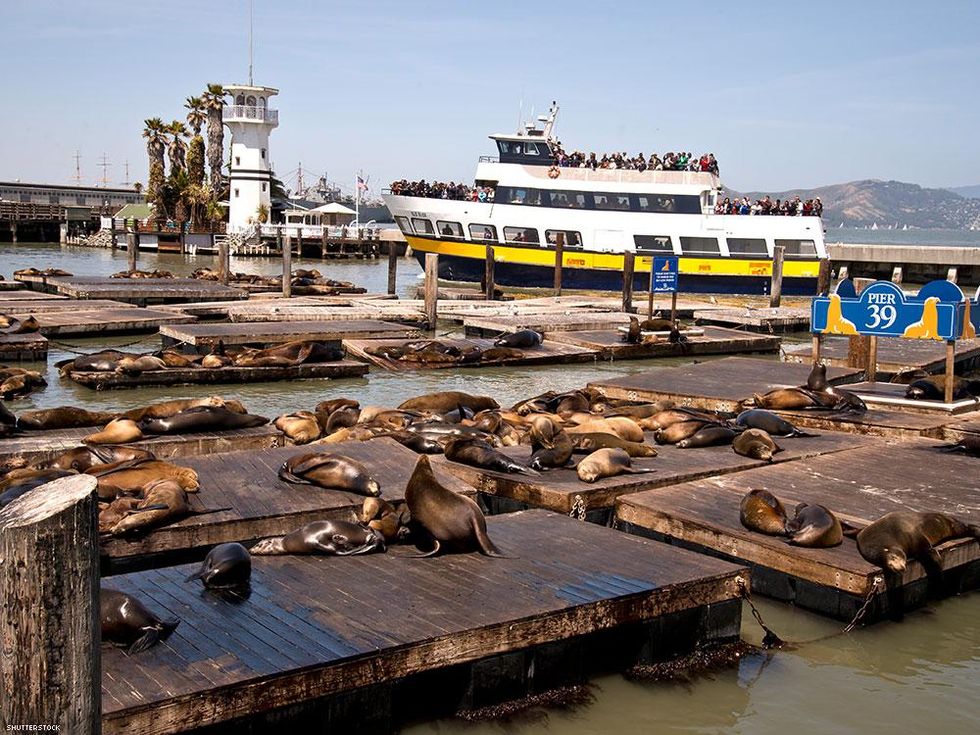 Folsom Street Fair etiquette