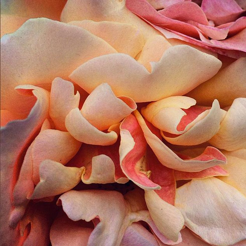 For-you-january-2nd-2014x633_0