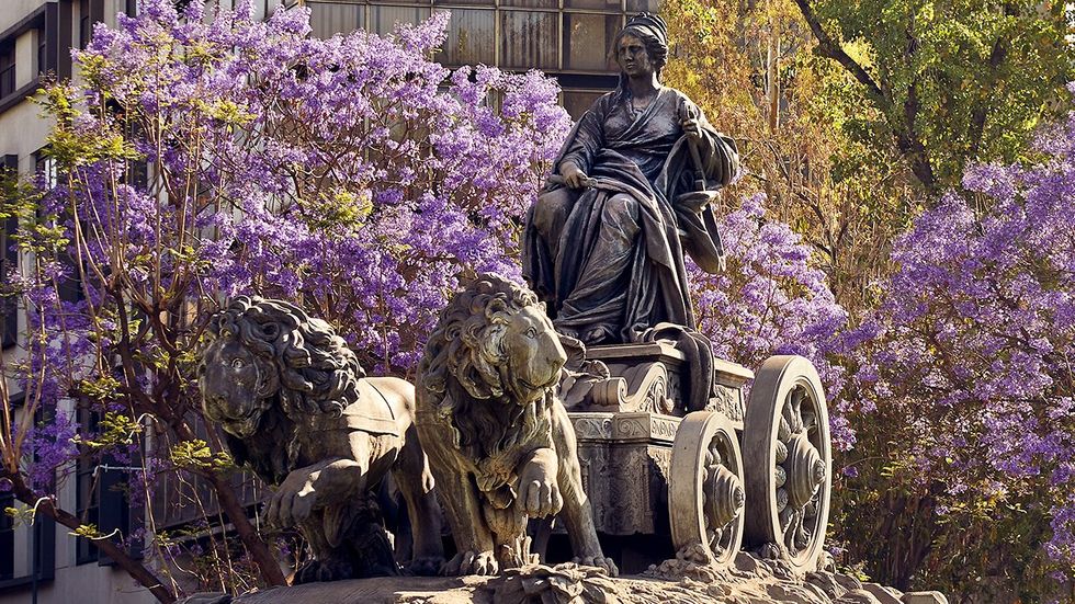 Fountain of Cybele Roman goddess Lion chariot Spanish Fuente de Cibeles Plaza Villa de Madrid Roma neighborhood Mexico City jacaranda trees blooming