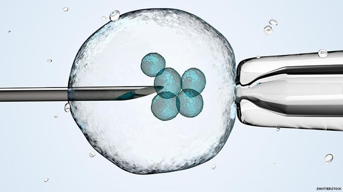 France Could Soon Allow Lesbians Undergo IVF