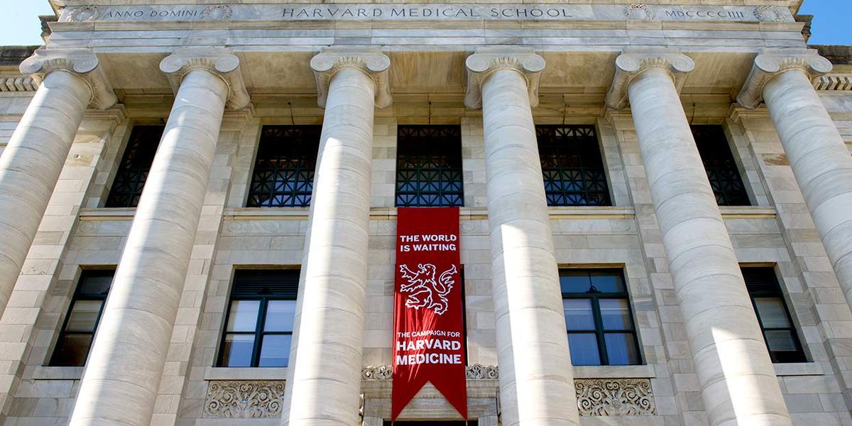 Harvard Medical School delays transgender health care course after conservative outlet questions fee waivers