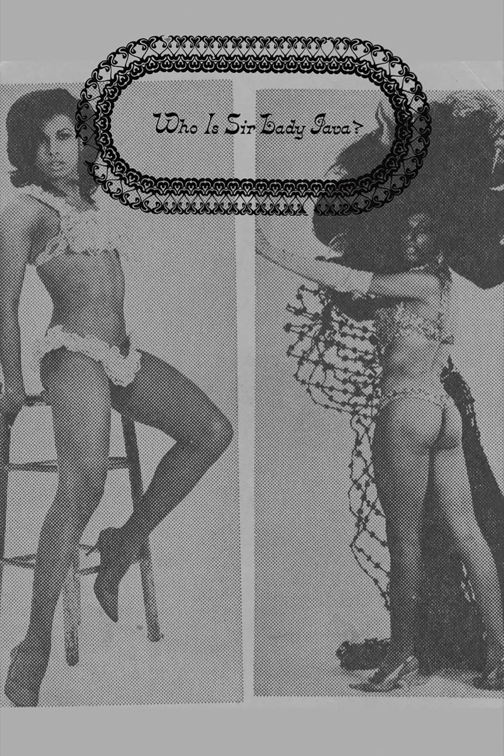 Fugitive Materials zine on Sir Lady Java