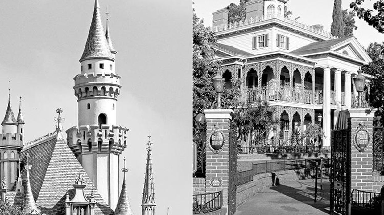 Gay Disney Addicts Rejoice: The Disneyland Bible Is Back