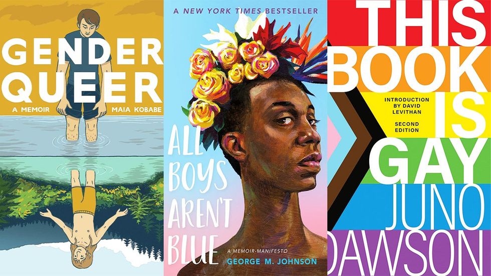 Gender Queer, All Boys Aren't Blue, and This Book Is Gay