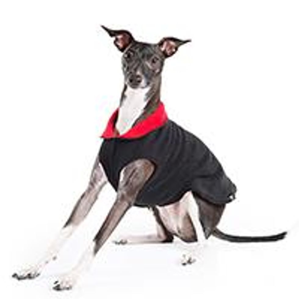 Gold-paw-series-duluth-double-fleece-2_0