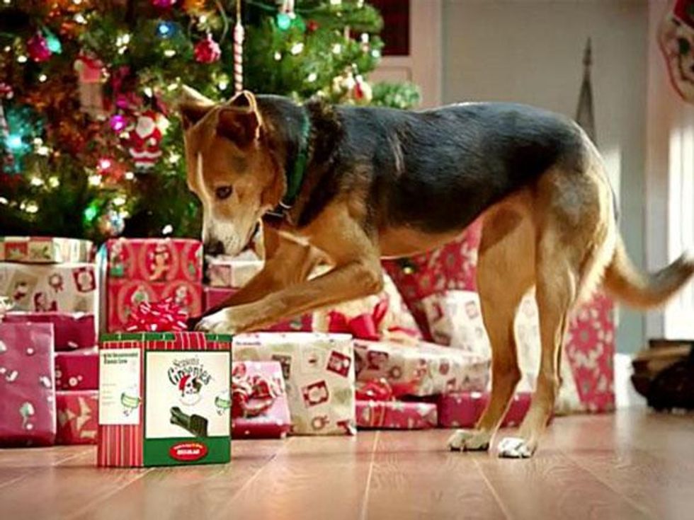 Greenies under the Christmas tree