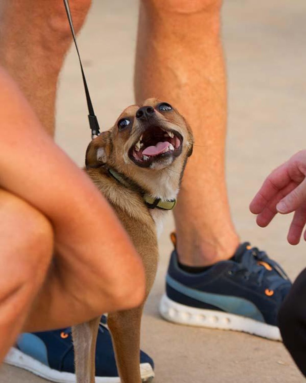 Gsws-austin-2016-by-larry-barthel-43