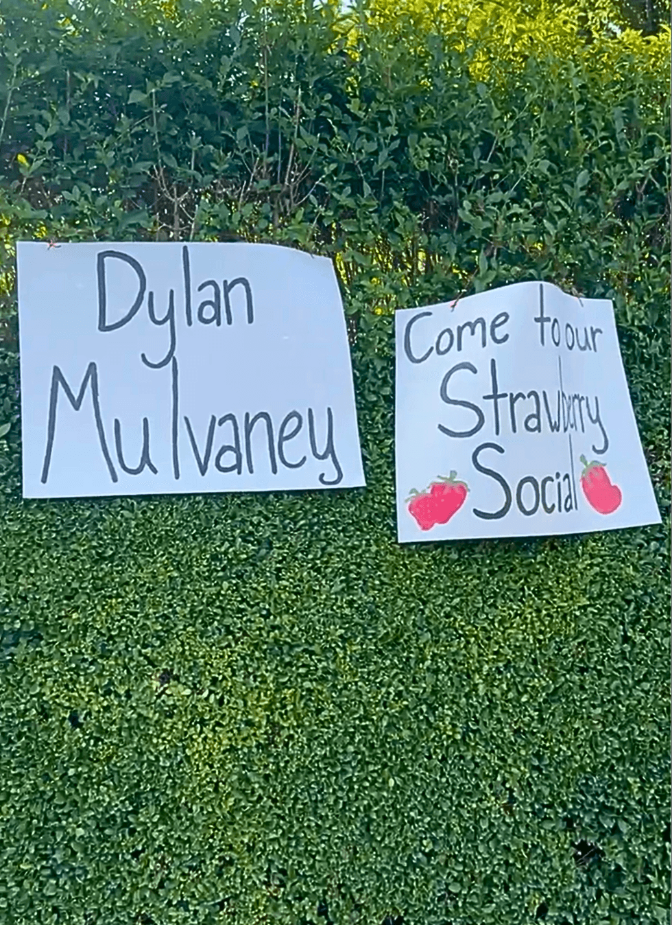 Handmade signs reading \u201cDylan Mulvaney\u201d and \u201cCome to our Strawberry Social\u201d hang outside the Summer of Sass event in Provincetown.
