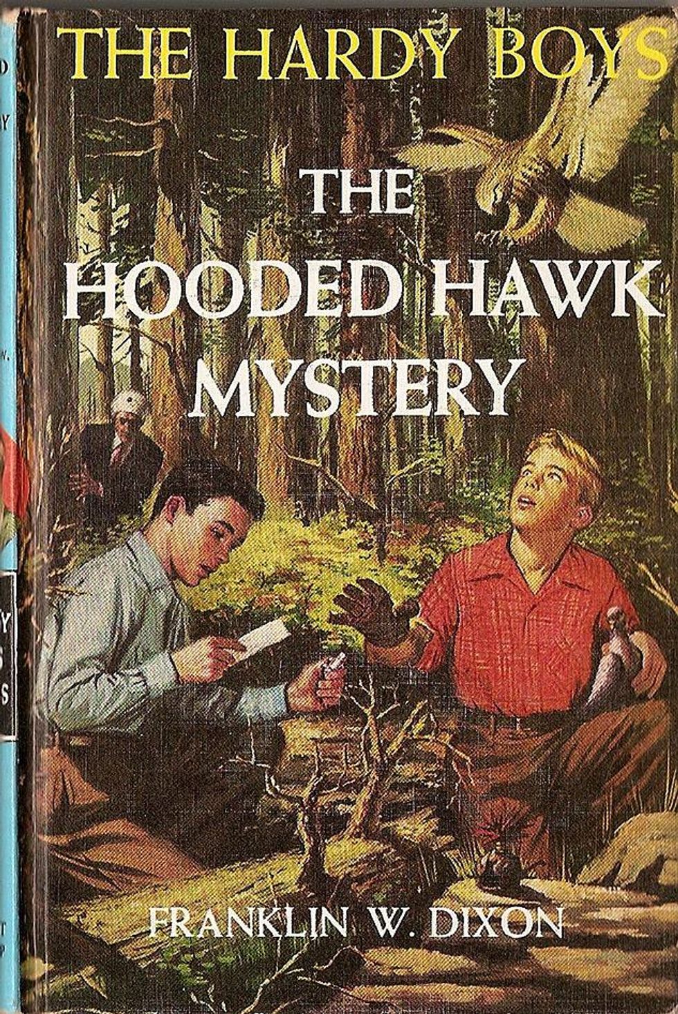 Hardy_hoodedhawkx633_0