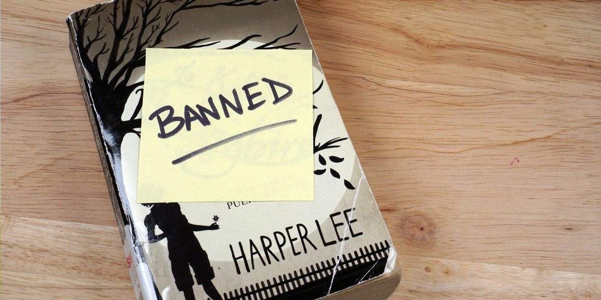 Tennessee whistleblower says library board chair sought private data as part of state's book purge