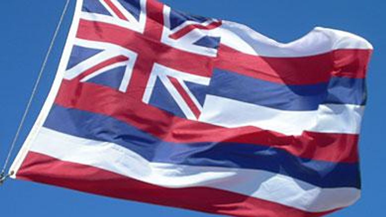 Hawaii_flagx390_0