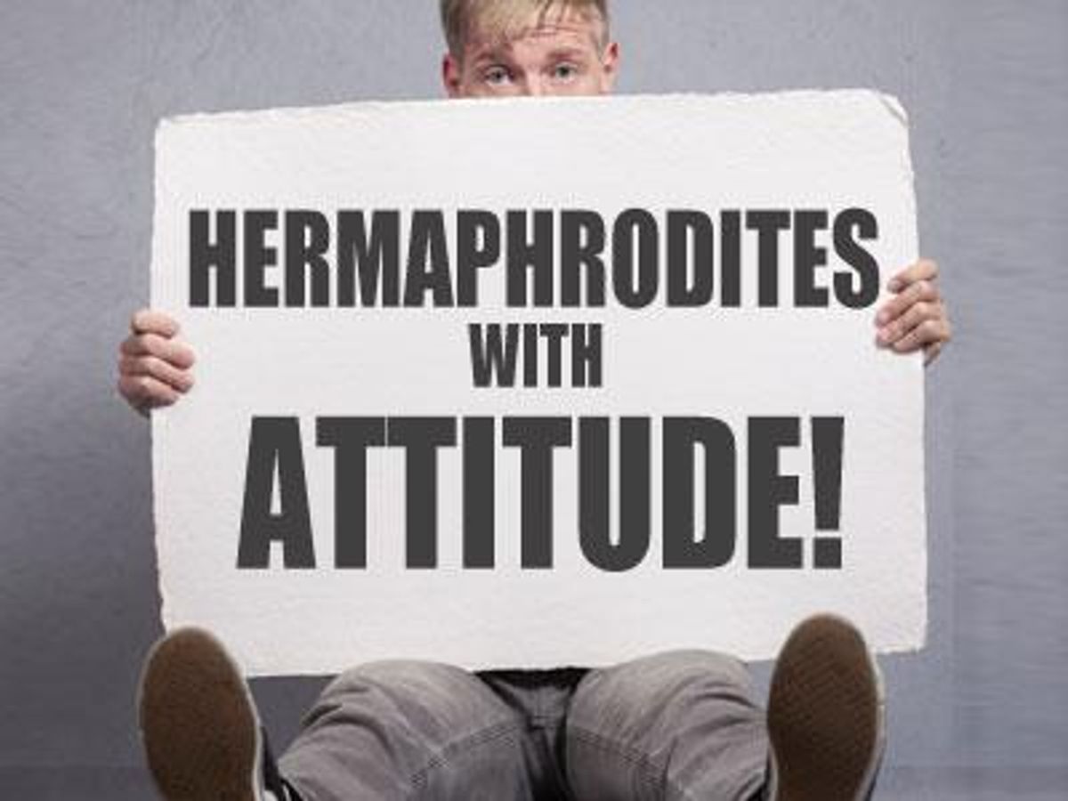 Hermaphrodites-with-attitudex400