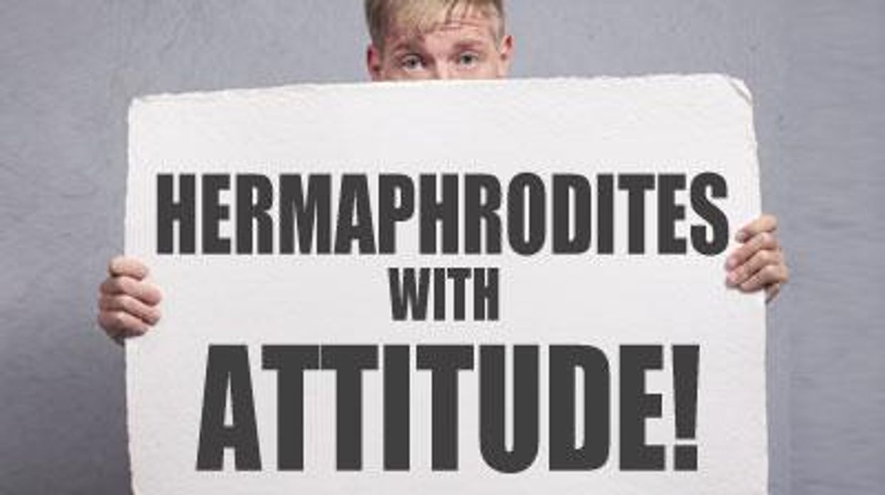 Hermaphrodites-with-attitudex400