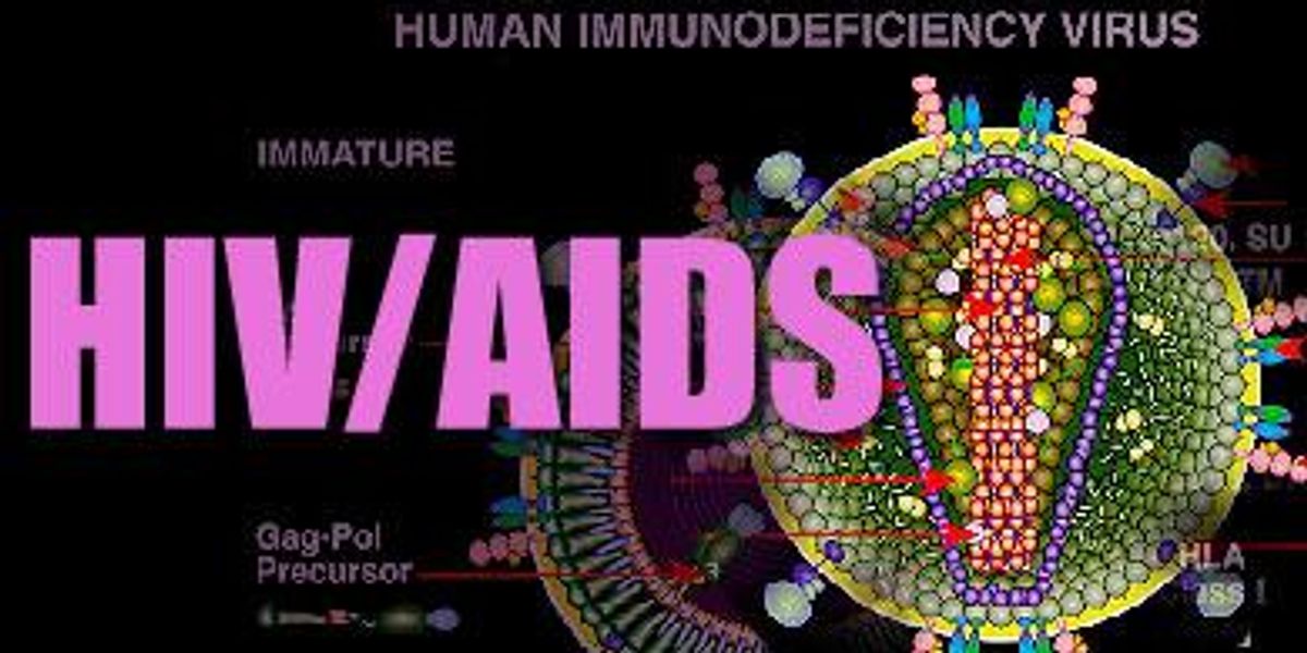 New Study Traces Origins of HIV to Turn of the Century