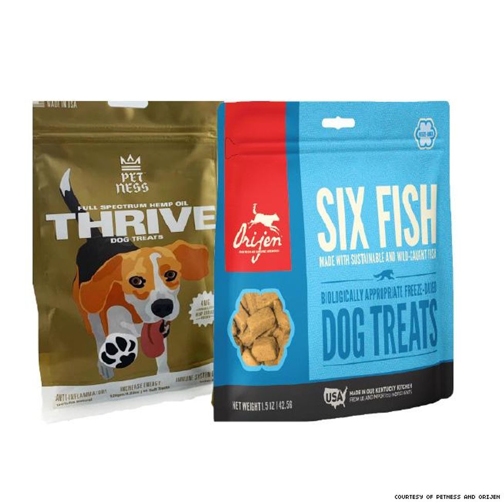 Holiday Gift Guide 2019: Kids Parents Pets