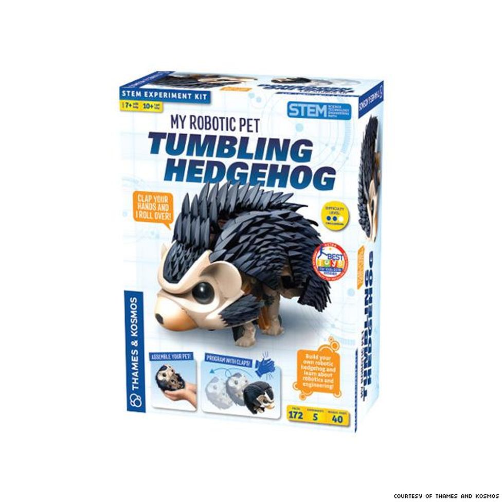 Holiday Gift Guide 2019: Kids Parents Pets