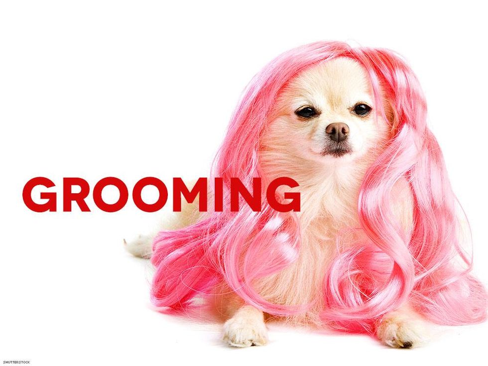 Holiday-groomingshutterstock_19948603