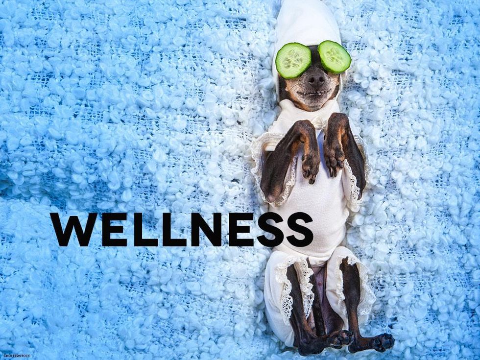 Holiday-wellnessshutterstock_1104500237x1000