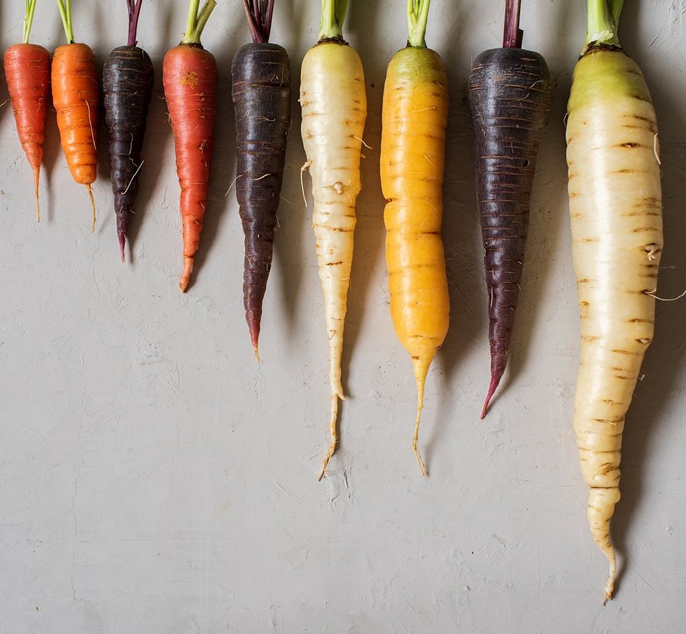 home grown multi color carrots small to large