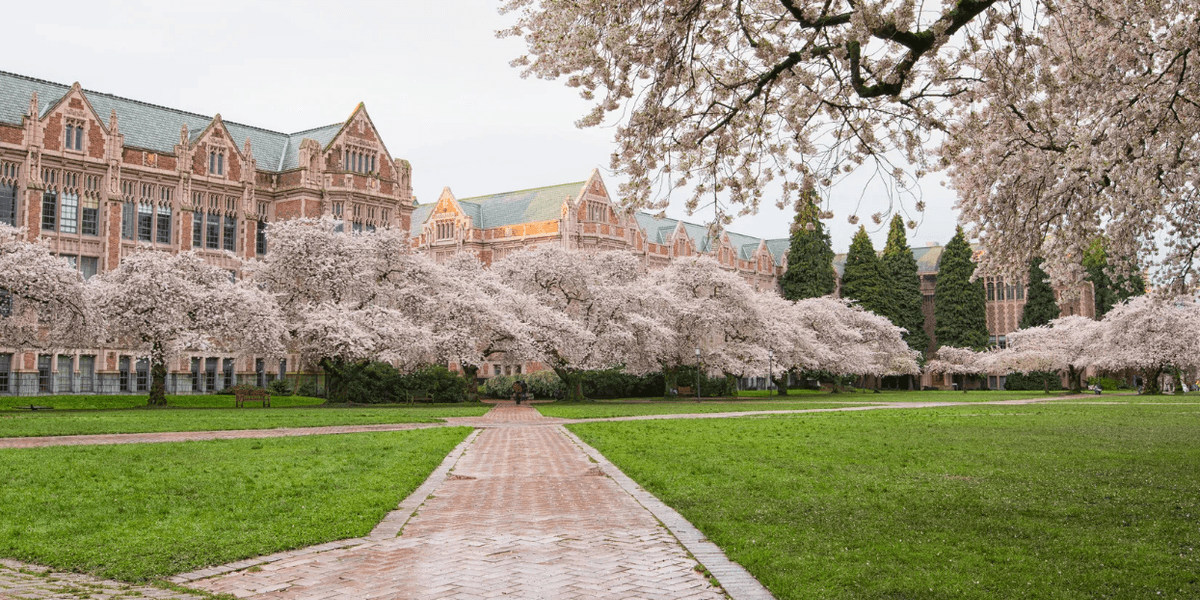 19-year-old transgender University of Washington student fatally stabbed
