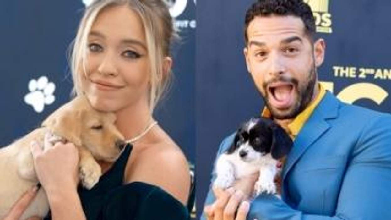 Stars Cozy Up to Adoptable Rescue Dogs at HCA TV Awards