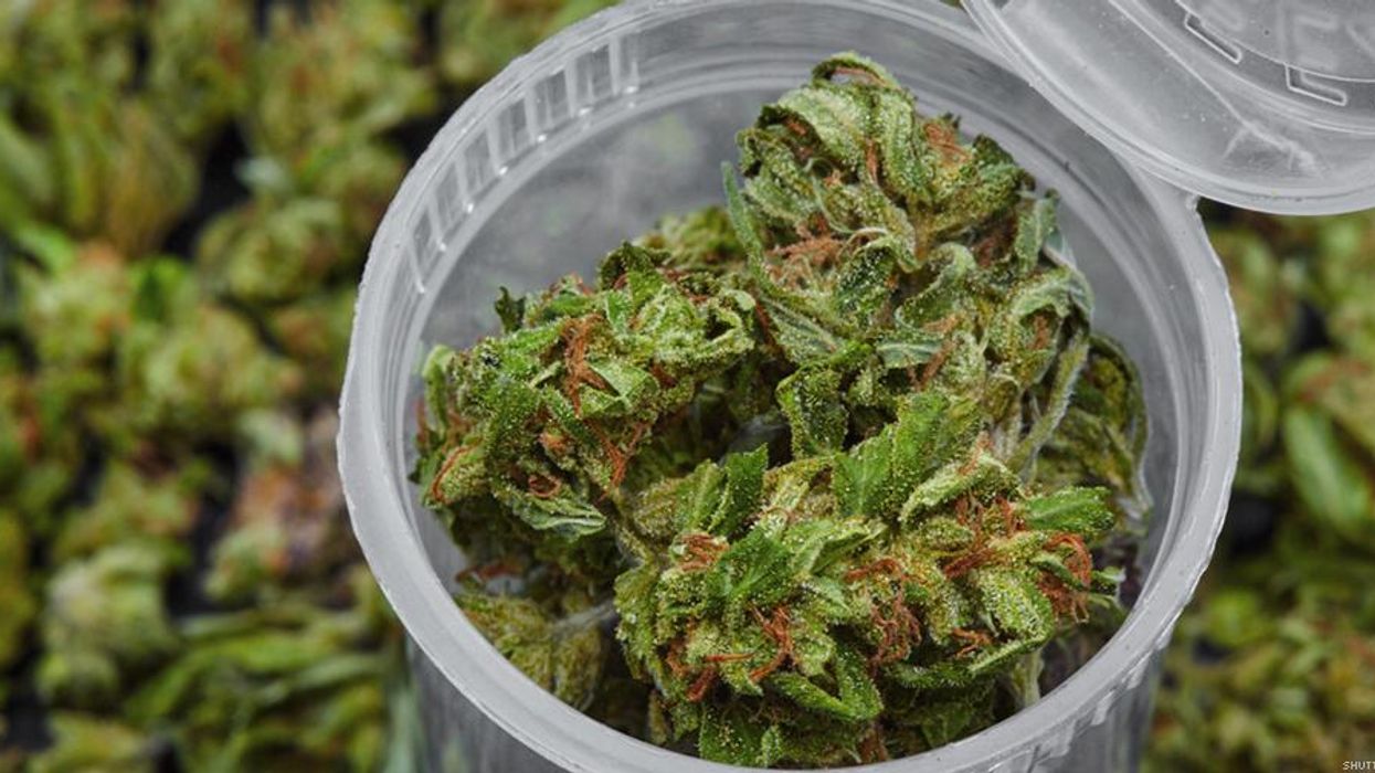 New Classification of Cannabis will Make it Easier to Use for Medical Research