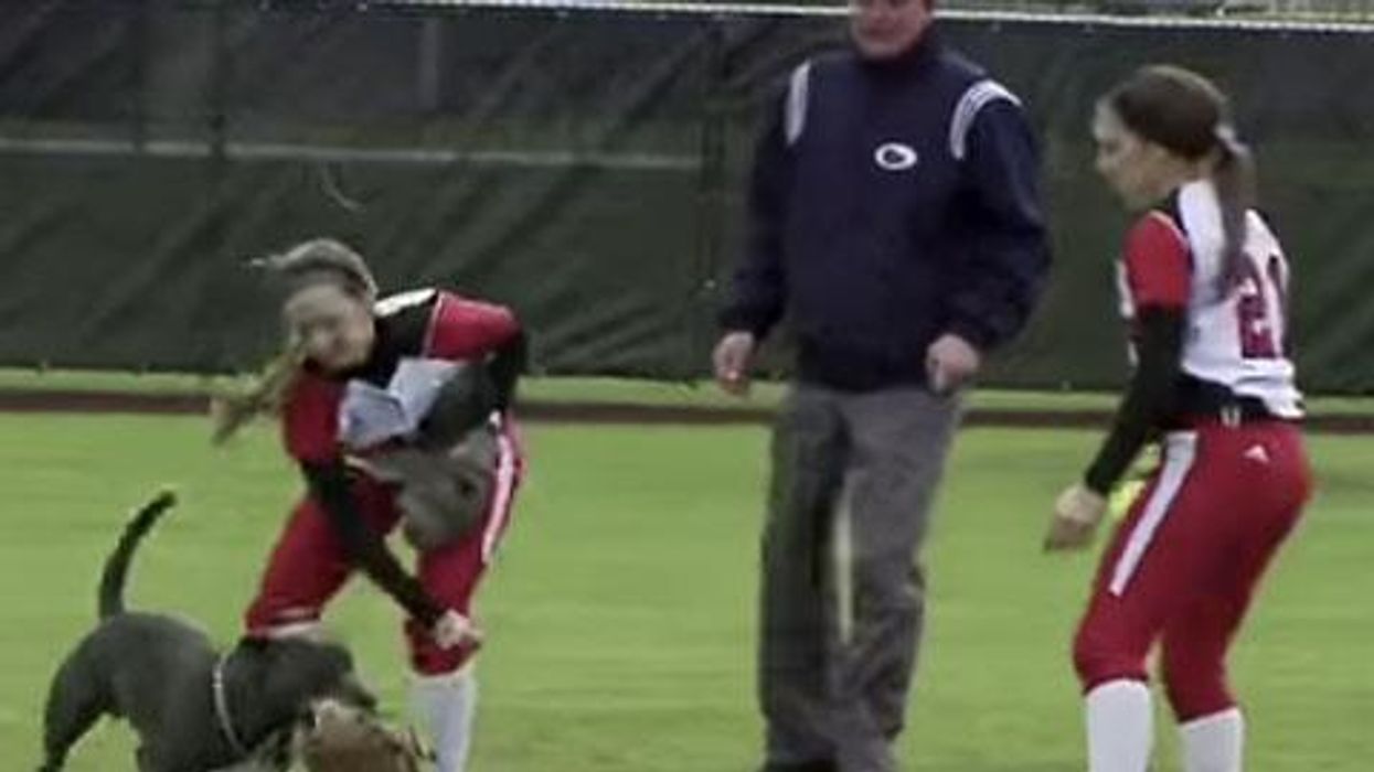 WATCH: Mitt-Thieving Dog Crashes Women's Softball Game