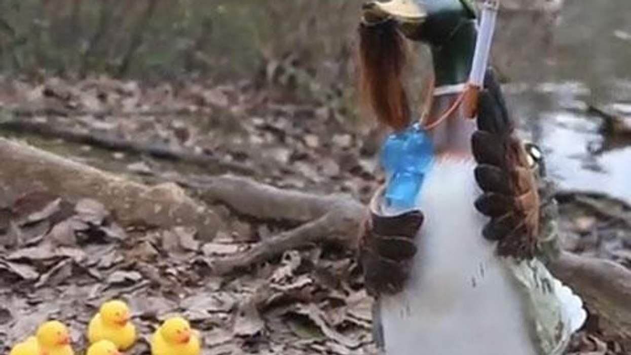 WATCH: 'Lesbian Duck Dynasty Song' Skewers Phil Robertson