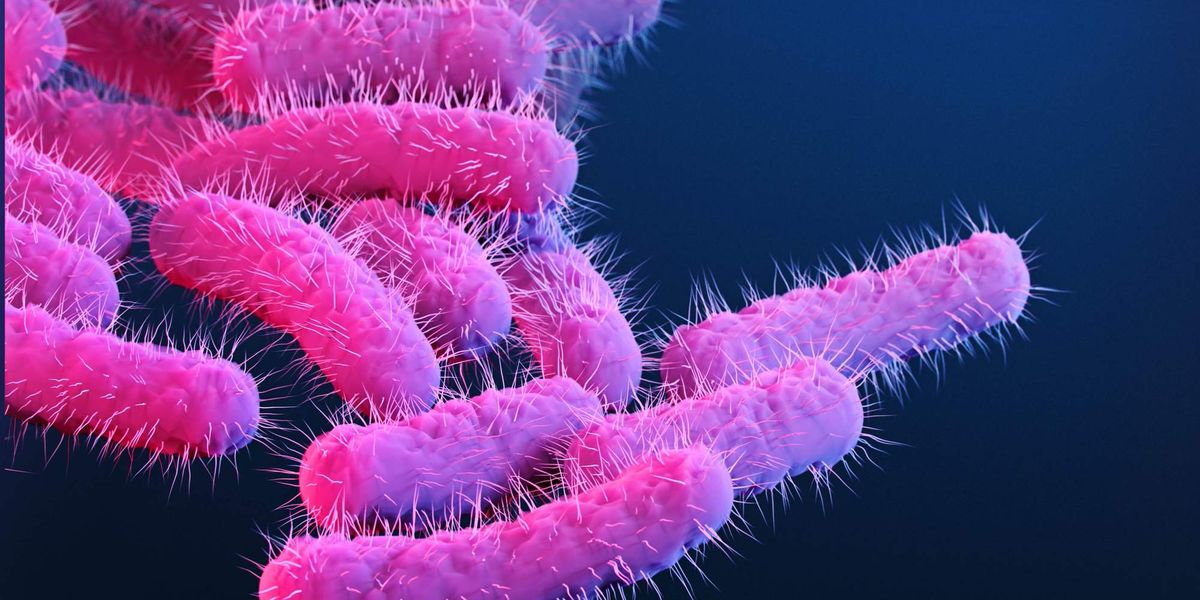 A new strain of Shigella is disproportionately impacting queer men. Why?