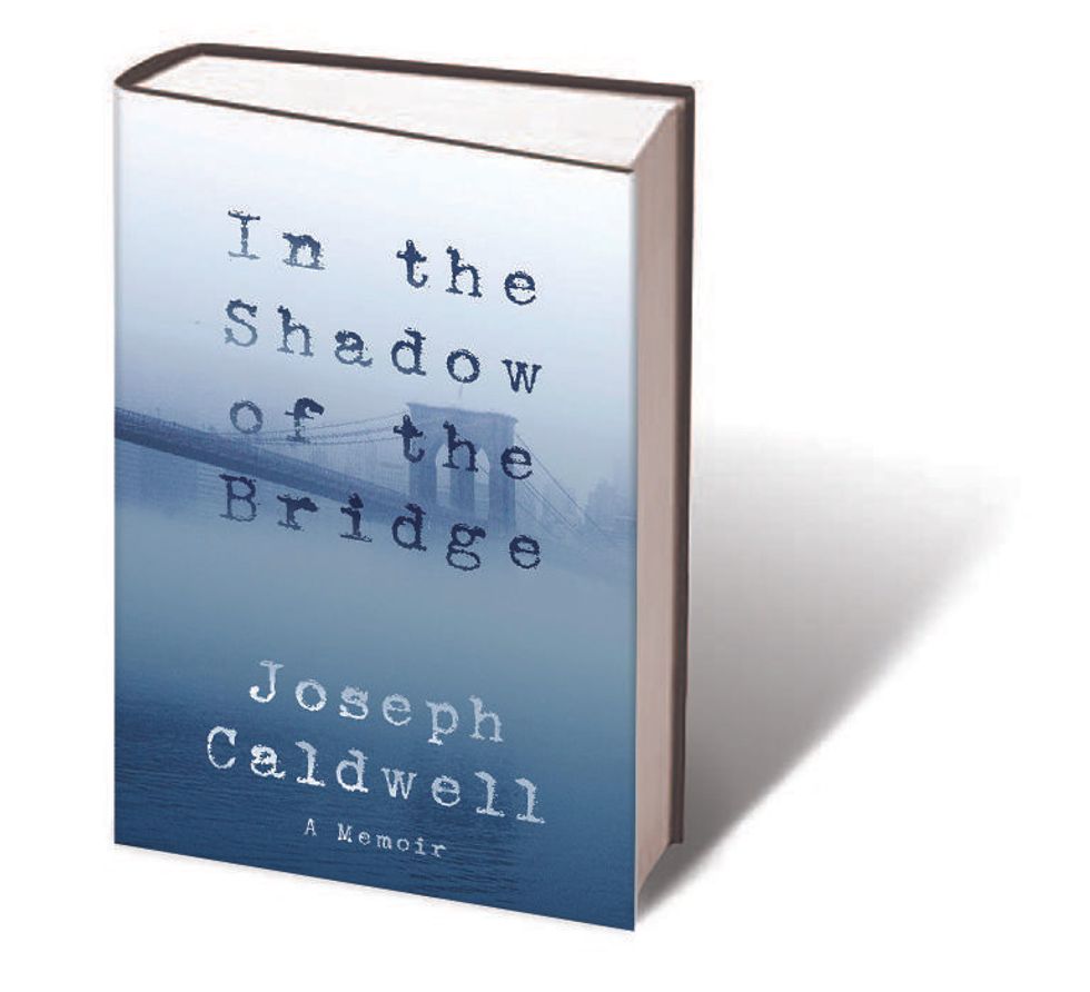 in_the_shadow_of_the_bridge_book