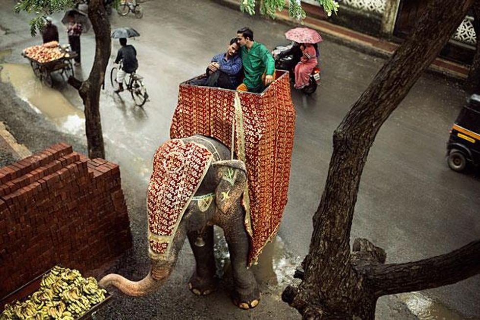 Indiangayelephantx633_0