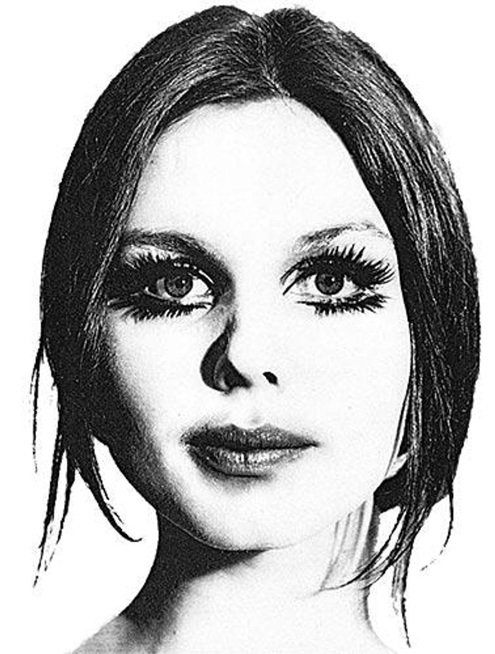 International_chrysis