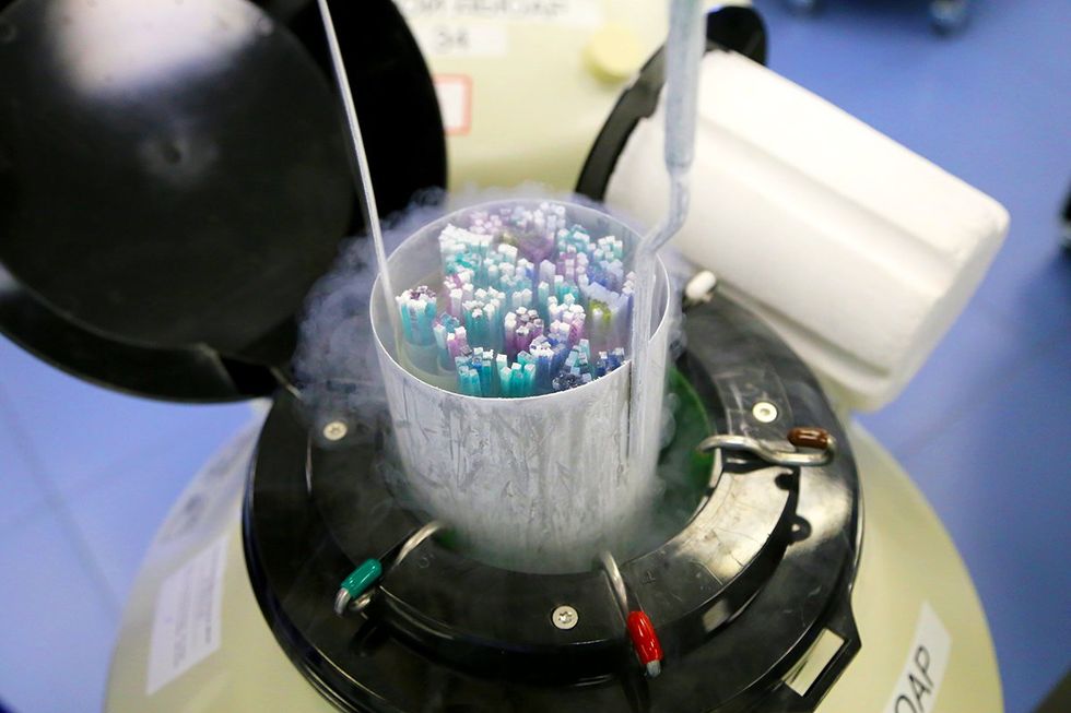 IVF Frozen Embryo tank 