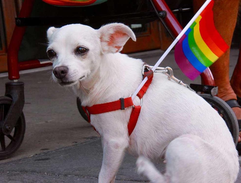 Jersey-city-pride-22