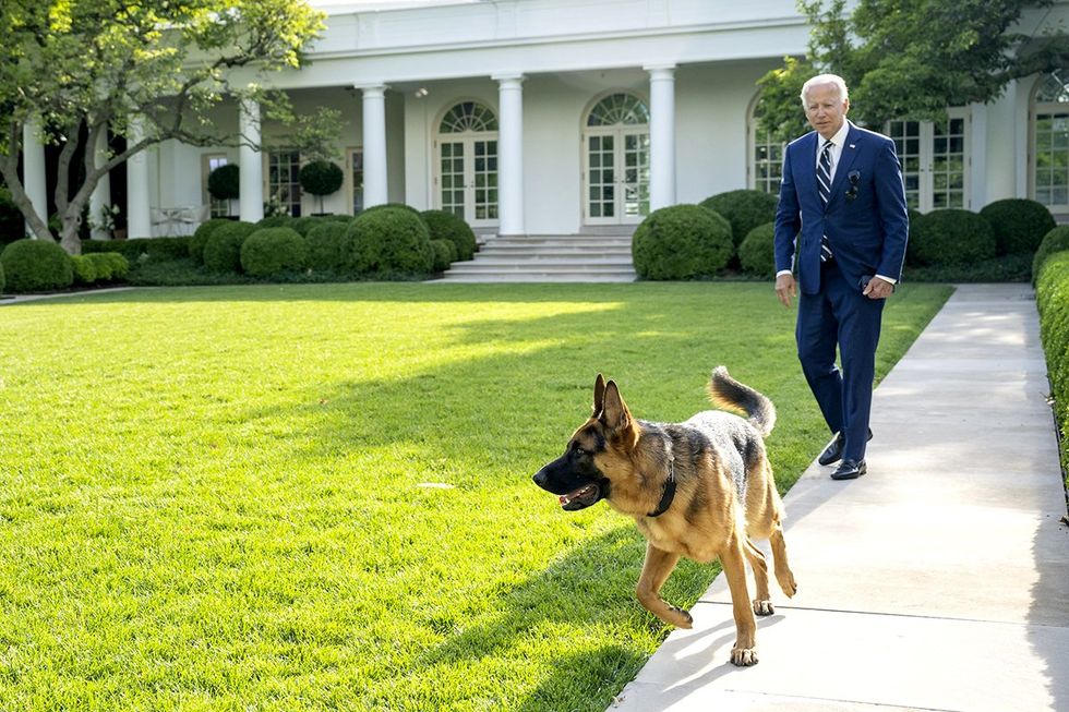 Joe Biden Commander Dog White House