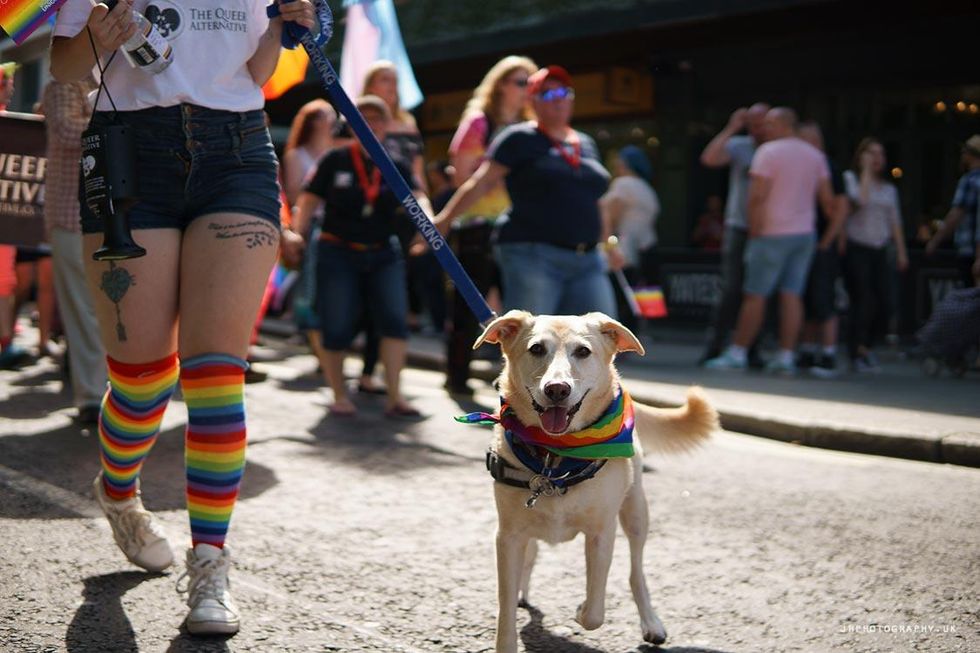 Joe Hudson Photography - events, portraits & weddings