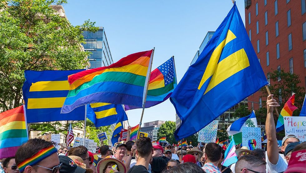 LGBTQ people allies mobilize vote election year