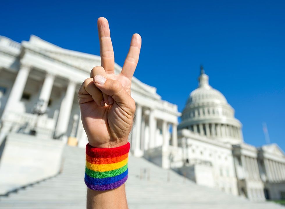 LGBTQ people allies mobilize vote election year
