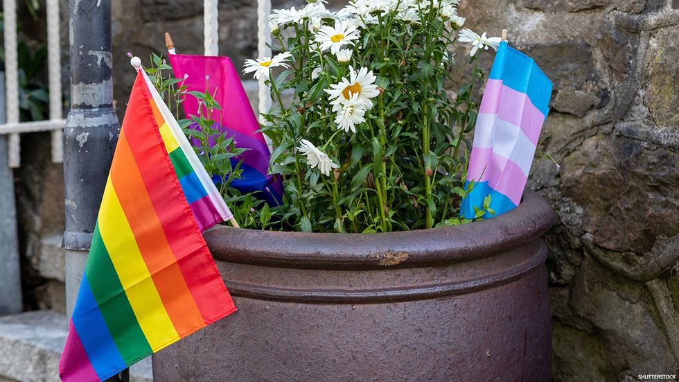 LGBTQ+ Pride flags in a planter